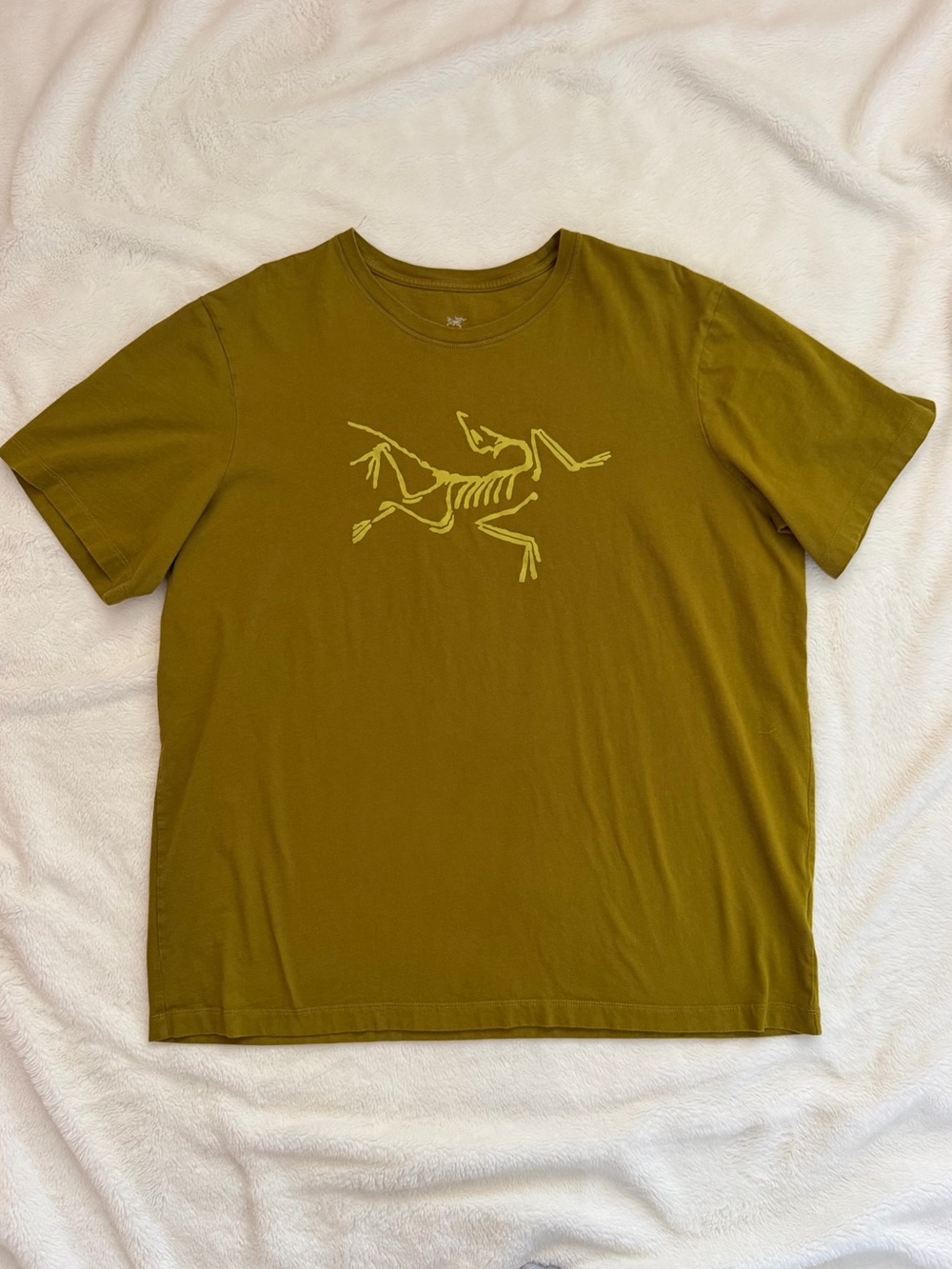 Arc'teryx Archaeopteryx Men's Graphic T-Shirt - Green Yellow Chartreuse - XXL